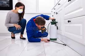 Real Estate Pest Inspections in Ridgway, CO